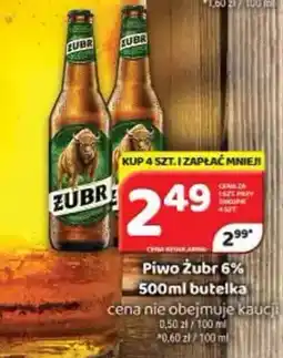 Delfin Piwo Żubr 6% oferta
