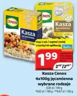 Delfin Kasza Cenos jêczmienna oferta