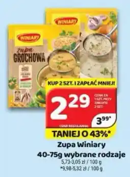 Delfin Zupa Winiary oferta
