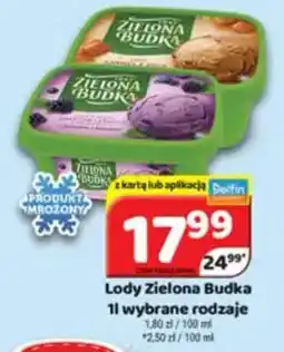 Delfin Lody Zielona Budka oferta
