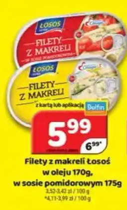 Delfin Filety z makreli łosos oferta