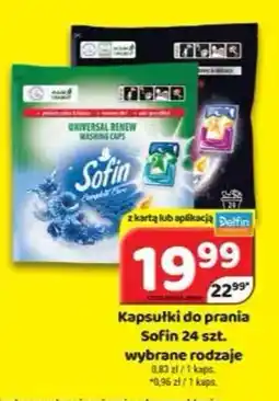 Delfin Kapsułki do prania Sofin oferta