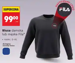 Biedronka Bluza Fila oferta