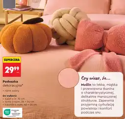 Biedronka Poduszka dekoracyjna oferta