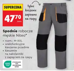 Biedronka Spodnie robocze męskie Niteo oferta