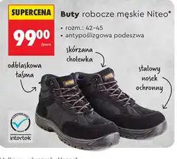 Biedronka Buty robocze męskie Niteo oferta
