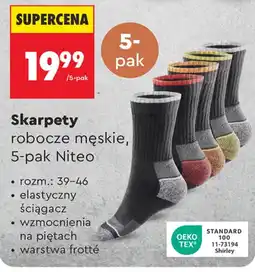 Biedronka Skarpety robocze męskie Niteo oferta