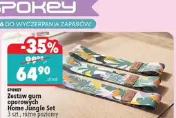 Biedronka Pila spalinowa NAC oferta