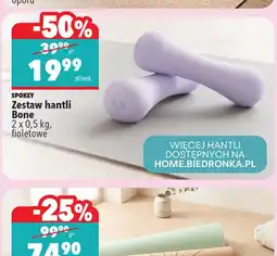Biedronka Akumulatorowa piła do gałęzi NAC oferta