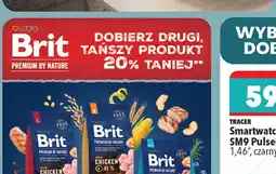 Biedronka Żelazko z generatorem pary oferta