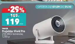 Biedronka MELINK Punktowy odkurzacz piorący oferta