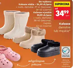 Biedronka Kalosze damskie oferta