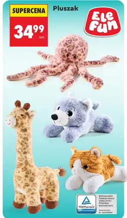 Biedronka Pluszak oferta