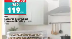 Biedronka Spokey Mata do ćwiczeń Scrab oferta