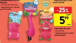 Intermarche Zabawka dla psa Cooper & Pals oferta