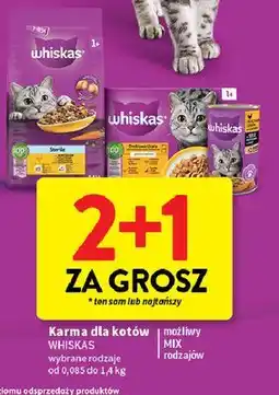 Intermarche Karma dla kotów Whiskas oferta