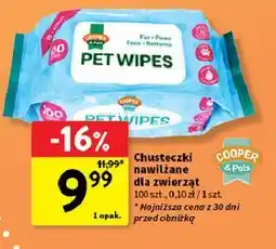 Intermarche Chusteczki nawilżane dla zwierząt COOPER & Pals oferta
