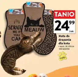Intermarche Mata do drapania dla kota oferta