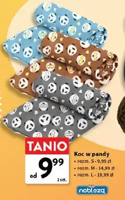 Intermarche Koc w pandy Nobleza oferta