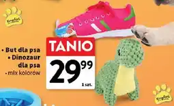 Intermarche But lub dinozaur dla psa oferta