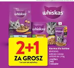 Intermarche Karma dla kotów WHISKAS oferta