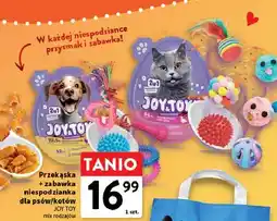 Intermarche Jajko niespodzianka dla kota Joy&Toy! oferta