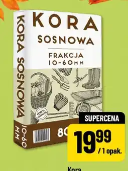 Polomarket Kora sosnowa oferta