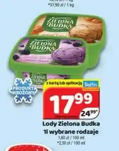 Delfin Lody Zielona Budka oferta