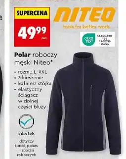 Biedronka Polar męski Niteo Tools oferta