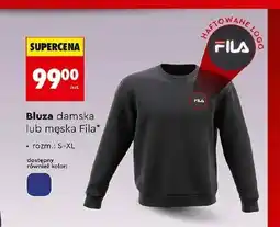Biedronka Bluza męska Fila oferta