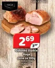 Delfin Golonko śląskie Haga oferta