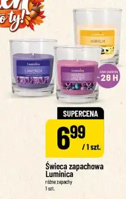 Polomarket Świeca zapachowa Luminica oferta