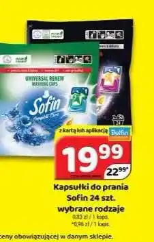 Delfin Kapsułki do prania Sofin oferta