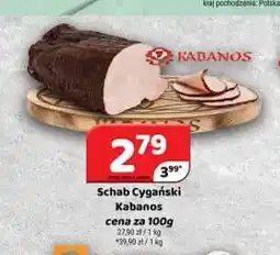 Delfin Schab cygański Kabanos oferta