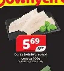 Delfin Dorsz świeży brzuszki oferta