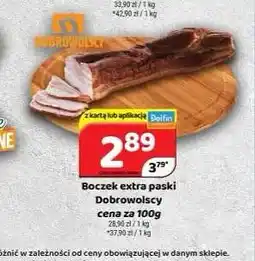 Delfin Boczek extra paski Dobrowolscy oferta