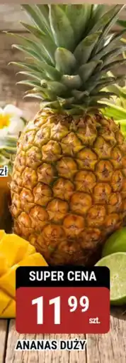 bi1 Ananas Duży oferta