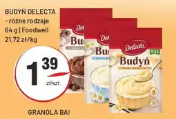 Sedal Budyń Delecta FoodWell oferta