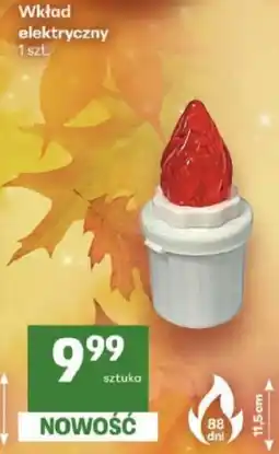 Delikatesy Centrum Wkład elektryczny oferta