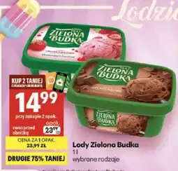 Delikatesy Centrum Lody Zielona Budka oferta
