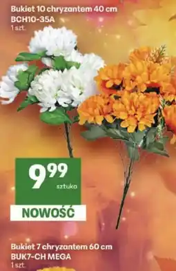 Delikatesy Centrum Bukiet 10 chryzantem 40 cm oferta