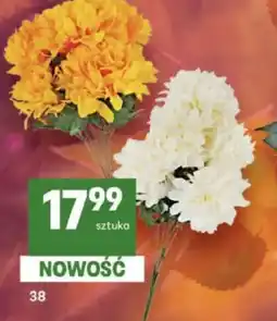 Delikatesy Centrum Kwiaty oferta