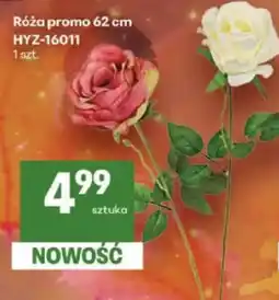 Delikatesy Centrum Róża promo oferta