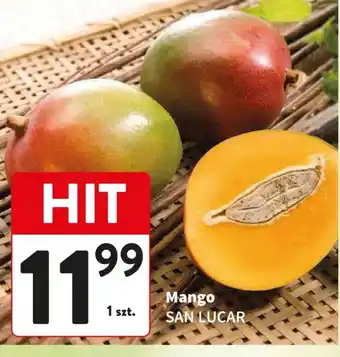 Mango SAN LUCAR