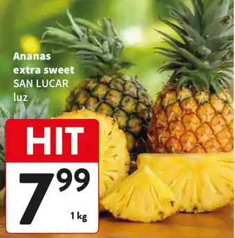 Ananas extra sweet SAN LUCAR luz