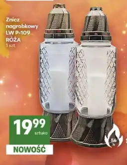 Delikatesy Centrum Znicz nagrobkowy RÓŻA oferta