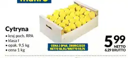 Makro Cytryna oferta