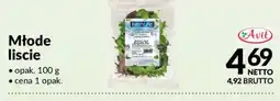 Makro Młode liscie oferta