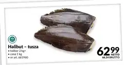 Makro Halibut - tusza oferta