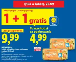 Lidl Jaja z chowu ściółkowego Złota Nioska wielkość M 10 szt oferta